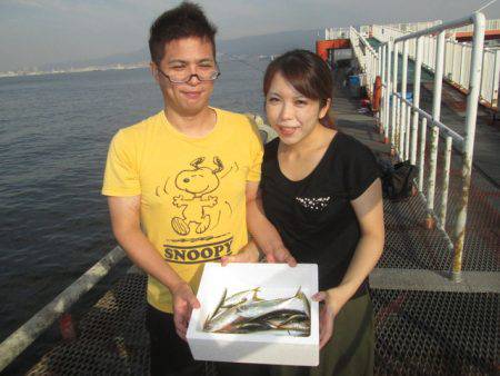 尼崎市立魚つり公園 釣果