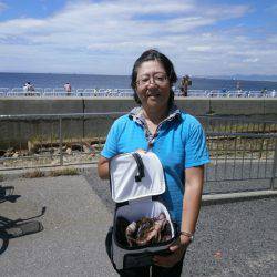 大阪南港海つり公園 釣果