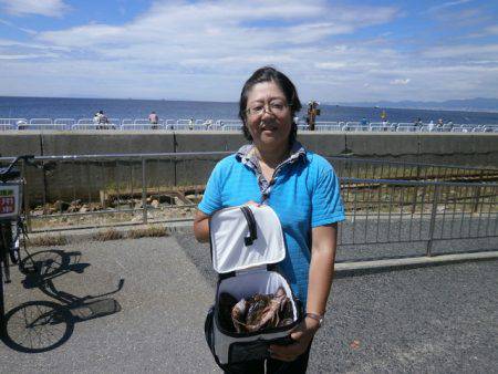 大阪南港海つり公園 釣果