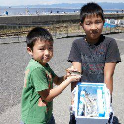 大阪南港海つり公園 釣果