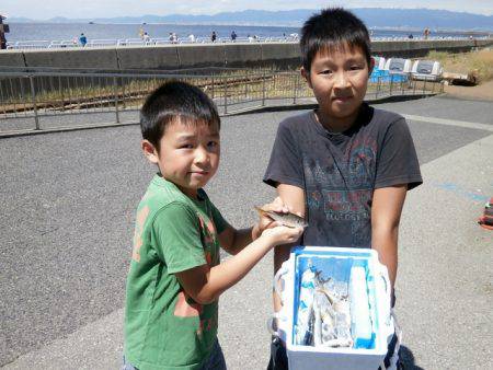 大阪南港海つり公園 釣果