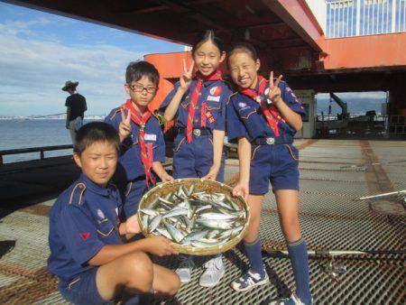 尼崎市立魚つり公園 釣果