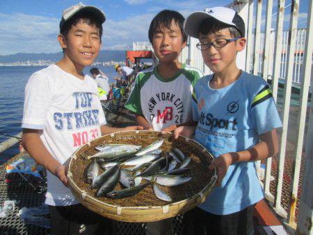 尼崎市立魚つり公園 釣果