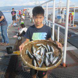 尼崎市立魚つり公園 釣果