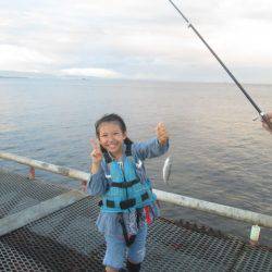 尼崎市立魚つり公園 釣果