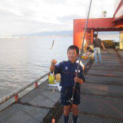 尼崎市立魚つり公園 釣果