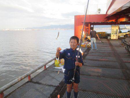 尼崎市立魚つり公園 釣果