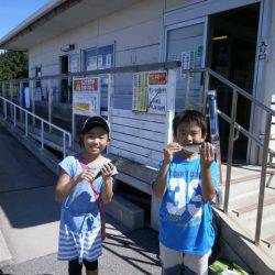 大阪南港海つり公園 釣果