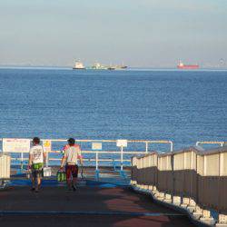 オリジナルメーカー海づり公園(市原市海づり施設) 釣果