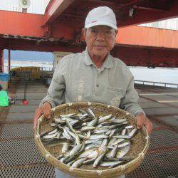 尼崎市立魚つり公園 釣果