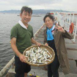 尼崎市立魚つり公園 釣果