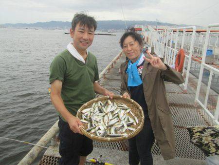 尼崎市立魚つり公園 釣果