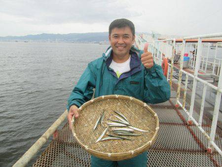 尼崎市立魚つり公園 釣果