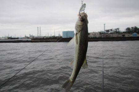 オリジナルメーカー海づり公園(市原市海づり…