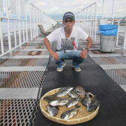 尼崎市立魚つり公園 釣果