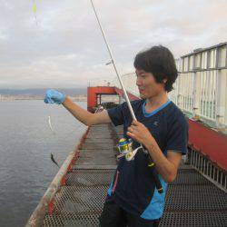 尼崎市立魚つり公園 釣果