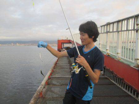尼崎市立魚つり公園 釣果