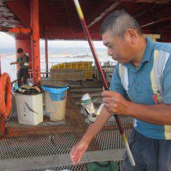 尼崎市立魚つり公園 釣果