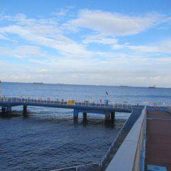 オリジナルメーカー海づり公園(市原市海づり施設) 釣果