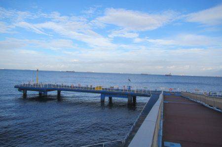 オリジナルメーカー海づり公園(市原市海づり施設) 釣果