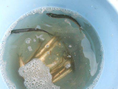 オリジナルメーカー海づり公園(市原市海づり…