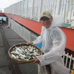 尼崎市立魚つり公園 釣果