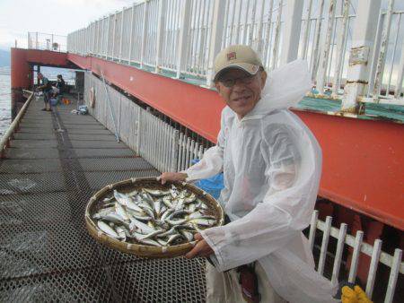 尼崎市立魚つり公園 釣果