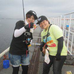 尼崎市立魚つり公園 釣果