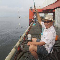 尼崎市立魚つり公園 釣果