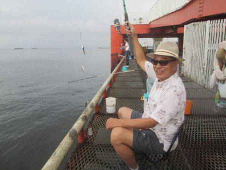 尼崎市立魚つり公園 釣果