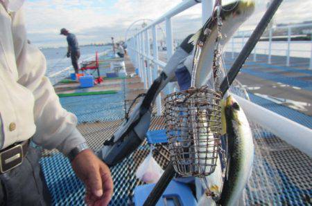 オリジナルメーカー海づり公園(市原市海づり…