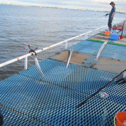 オリジナルメーカー海づり公園(市原市海づり施設) 釣果