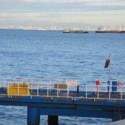 オリジナルメーカー海づり公園(市原市海づり施設) 釣果