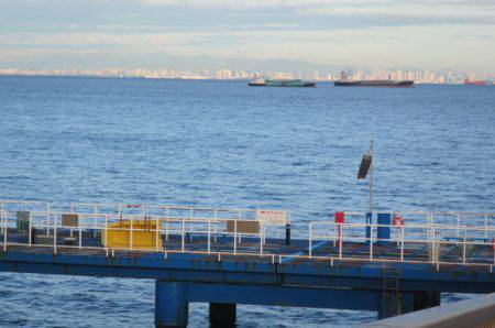 オリジナルメーカー海づり公園(市原市海づり施設) 釣果