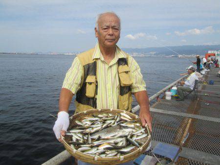 尼崎市立魚つり公園 釣果