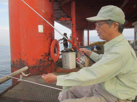 尼崎市立魚つり公園 釣果