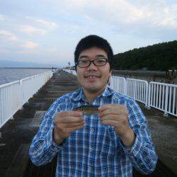 大阪南港海つり公園 釣果