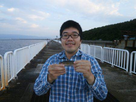 大阪南港海つり公園 釣果