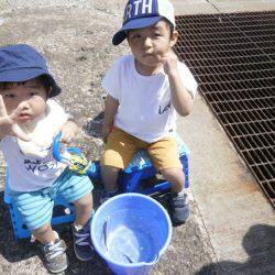 大阪南港海つり公園 釣果