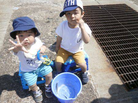 大阪南港海つり公園 釣果