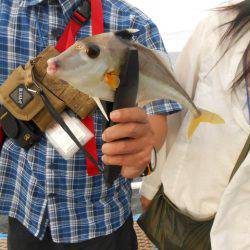 オリジナルメーカー海づり公園(市原市海づり施設) 釣果