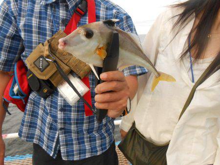 オリジナルメーカー海づり公園(市原市海づり施設) 釣果