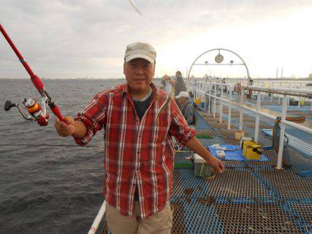 オリジナルメーカー海づり公園(市原市海づり施設) 釣果