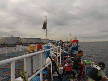 オリジナルメーカー海づり公園(市原市海づり施設) 釣果