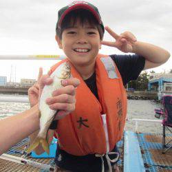 オリジナルメーカー海づり公園(市原市海づり施設) 釣果