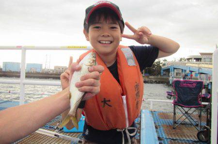 オリジナルメーカー海づり公園(市原市海づり施設) 釣果