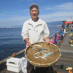 尼崎市立魚つり公園 釣果