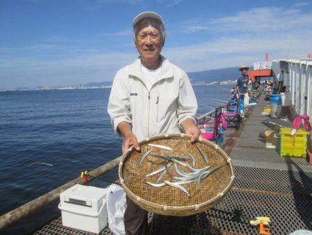 尼崎市立魚つり公園 釣果