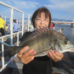 尼崎市立魚つり公園 釣果