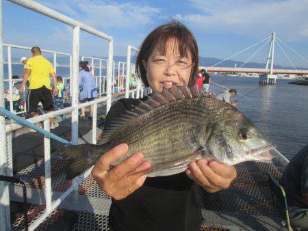 尼崎市立魚つり公園 釣果
